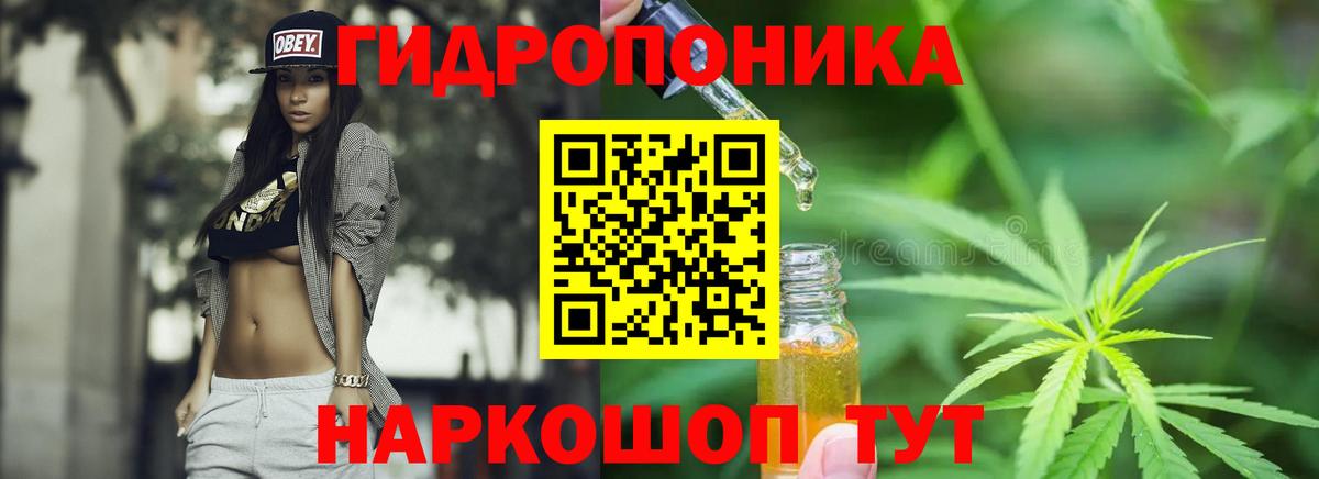 Бошки марихуана план Горячий Ключ